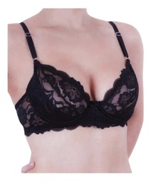 Corpiño Con Aro Encaje Puntilla Territorio 1045